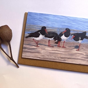 Pied Oystercatcher card, Australian Native Bird Cards, blank inside, all occasion card, beach birds, water bird, stationery, bird lover