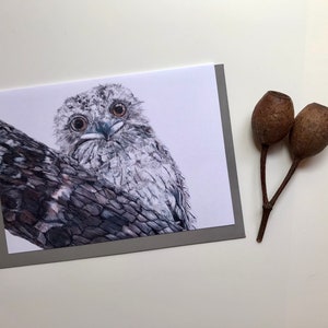 Tawny Frogmouth, Australian Native Bird Cards, blank inside, all occasion card, stationery, gift for bird lover