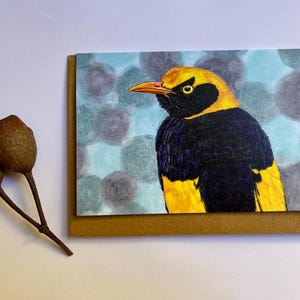 Regent Bowerbird Card, Australian Bird Cards, blank inside, all occasion card, stationery