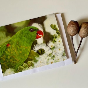 Scaly-breasted Lorikeet on gum flowers, Greeting Card, Parrots, Australian Native Birds, all occasion, blank inside, stationery,