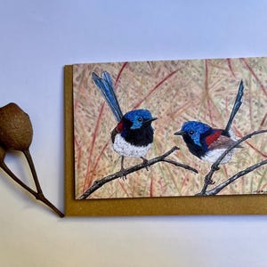 Australian Fairywren Cards, Wren Cards, Variegated, Superb, Red-backed, Australian Native Bird cards, blank inside, all occasion, stationery