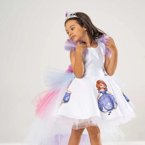 May include: A white princess dress with a tulle train. The dress features a cartoon image of a princess in a blue dress. The dress has a pink, blue, and white tulle overlay.