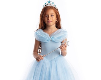 Custom Made Toddlers Cinderella Birthday Princess Gown Blue Cinderella Costume Toddler Pink Cinderella Costume Birthday Tutu Dress 3T-10