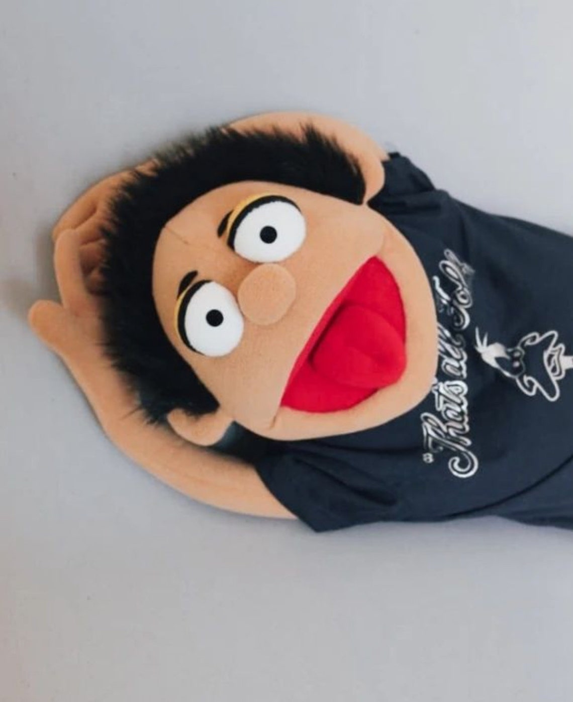 Custom Professional Hand Puppet Ventriloquist Puppet Everywhere Guy ...
