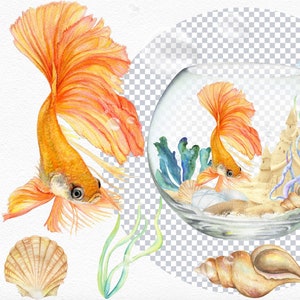 Goldfisch Fischschüssel Aquarell Clipart PNG Aquarium Bubbles Algen Muschel Sand Schloss Meer Nautik Unterwasser Marine Digital Download
