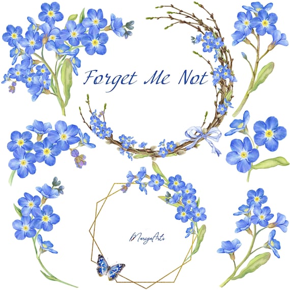 Forget Me Not Flower Clipart Watercolor PNG Blue Floral Wreath