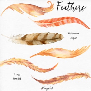 Conjunto de plumas, acuarela, clipart PNG, plumas, pintadas a mano, dibujadas, boho, boho, rústicas, tribales, nativas americanas, diseño de sublimación, uso comercial