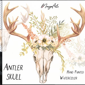 Aquarel gewei schedel clipart, herten schedel gewei met veld bloemen boeket, florale illustraties, boho boho hoorns png, sublimatie design