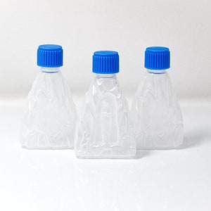 Bottiglia d'Acqua Santa Nostra Signora di Lourdes - Carta di preghiera gratuita