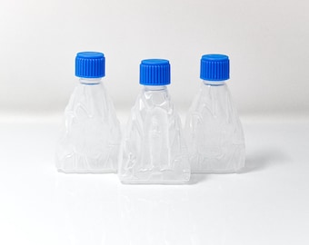 3 x Our Lady of Lourdes Holy Water Bottle - free Prayer Card