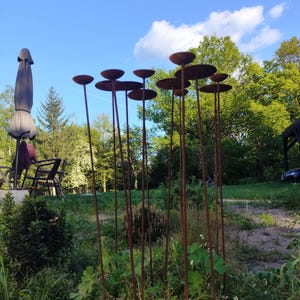 Wand garten