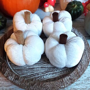 May include: Four white fabric pumpkins with brown stems sit on a wooden tray. The pumpkins have a textured, slightly fuzzy appearance. Other pumpkins and decorative items are in the background, suggesting a harvest theme.