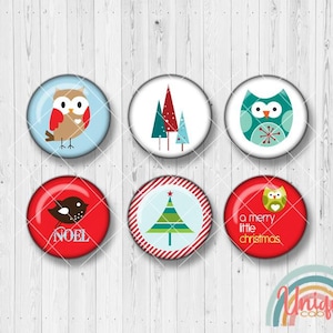 Motief Cabochon Winter Kerst Vogel Uil Boomtak Noel Herten Rudolph Rendier Sneeuwvlok - Cabochon Set A0346