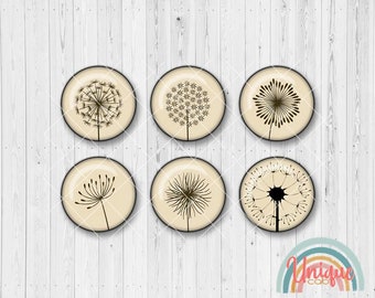 Motivcabochon Pusteblume Löwenzahn beige schwarz - Cabochon Set A3307