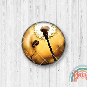 Könnte beinhalten: Eine Nahaufnahme eines Löwenzahnsamenkopfes mit einem verschwommenen Hintergrund eines goldenen Sonnenuntergangs. Der Löwenzahn ist vor dem Sonnenuntergang silhouettiert und erzeugt ein dramatisches Bild.