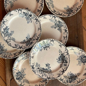 Floreal Boulenger Choisy Le Roi Plates / Old Terre de Fer Plates / Old Tableware / Olddishes / Made In France