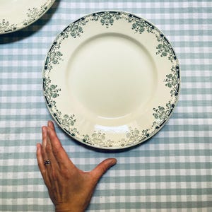 Sarreguemines Terre de Fer / Iron Earth / Antique Tableware / Antique Plates
