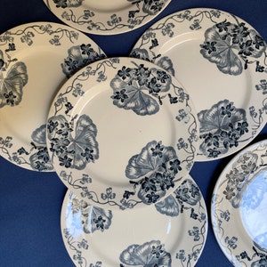 Salins Les Violettes 6 Assiettes Anciennes Plates / Assiettes Anciennes Terre De Fer / Olddishes