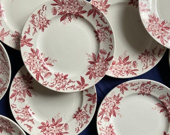 Set di 8 piatti di anemoni St Amand e Hamage / Piatti Old Terre de Fer / Vecchie stoviglie / Olddishes / Made In France