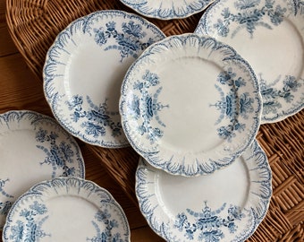 Saint Amand and North Hamage Regency / Old Terre de Fer plates / Old tableware / Olddishes / Made In France
