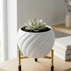 Modern Metal Planter with Gold Stand – Indoor Succulent Pot – Decorative Tabletop Plant Holder