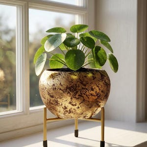 Maceta moderna con textura dorada y soporte / Maceta de lujo para plantas de interior