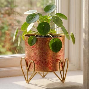 May include: A Pilea peperomioides plant in a cylindrical metal planter with a speckled red and gold finish. The planter is supported by a gold-toned metal stand featuring four legs shaped like open hearts, providing a raised base for the plant.