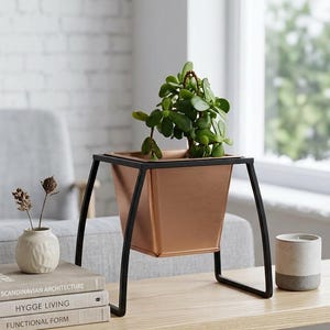 May include: A square copper-coloured planter pot suspended within a black metal frame stand. The planter contains a green succulent plant with thick, rounded leaves. The stand features four thin, angled legs that support the square container.