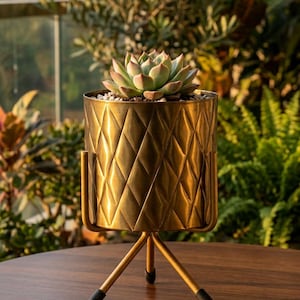 May include: A succulent plant with pale green and pink-tipped leaves potted in a cylindrical brass-coloured metal planter. The planter features a diamond-patterned texture and rests on a tripod stand with three thin legs and black rubber feet.