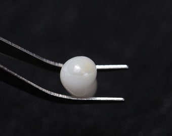 Natural Clam Pearl: 13.66 Carat Dome-Shaped Collector's Gem - Etsy