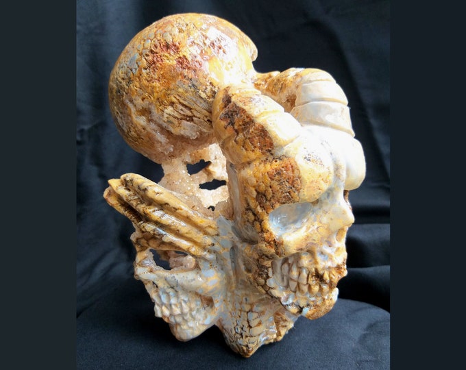 Featured listing image: 20cm Unique Fossil Coral Skull Decoration with Sparkly Crystal Geode Druse