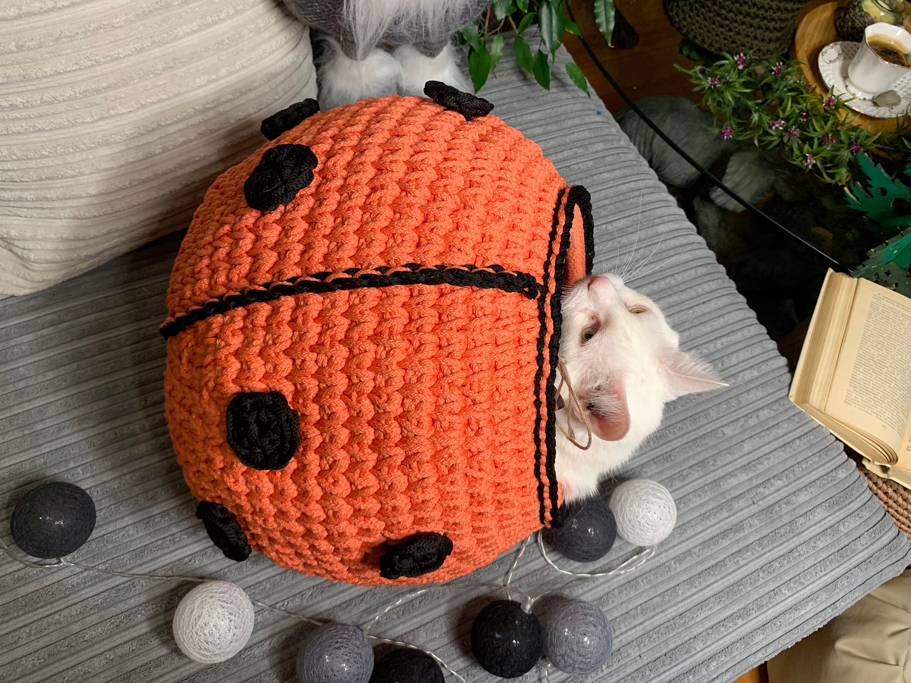 Crochet Pattern Cat House Ladybird Digital Instruction Manual PDF ...