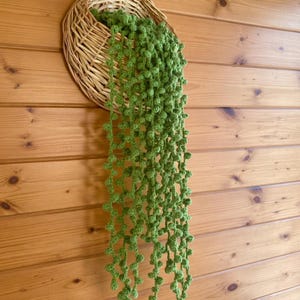 Könnte beinhalten: Ein geflochtener Weidenkorb mit Henkel, der eine kaskadierende grüne Häkelpflanze enthält. Die Pflanze weist Stränge aus kleinen, runden, grünen Häkelperlen auf, die einer Perlenkette ähneln. Der Korb ist an einer Holzwand befestigt.