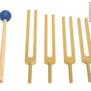 Könnte beinhalten: Ein Satz aus vier goldfarbenen Stimmgabeln und einem Holzschlägel mit blauem Kopf. Die Stimmgabeln sind in einer Reihe angeordnet, und der Schlägel befindet sich links. Ein Logo mit einer Blume und dem Text "KriNam" befindet sich in der oberen rechten Ecke.