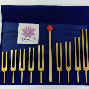 Gold finish 9 Solfeggio tuning forks including 528 hz tuning fork for healing therapy with printed pouch