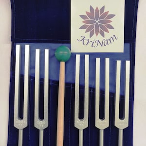 May include: A collection of silver tuning forks, a wooden mallet, and a card with the text "KriNam" and a floral design. The forks are housed in a blue velvet case.