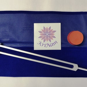 Può includere: Un diapason argentato con due punte, un martello rosso e un adesivo con un disegno di fiore viola e rosa e il testo "KriNam" su una custodia in velluto blu.