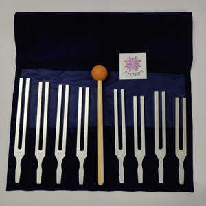 Op de afbeelding: Een set van acht stemvorken in een blauwe fluwelen draagtas met een houten hamer. De stemvorken zijn geëtiketteerd met frequenties: 256 Hz, 288 Hz, 320 Hz, 384 Hz, 480 Hz, 512 Hz, 576 Hz en 640 Hz.