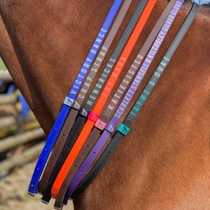 Paardensport paard ponyrijden nekriem Op maat gemaakt op maat bedrukt cadeau Veiligheidsriem Biothane