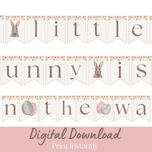 A little bunny is on the way banner