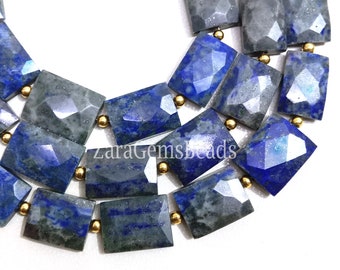Natural Lapis Lazuli Dot Rectangle Shape Beads, 10x15-13x16mm, Blue Lapis Chicklet Faceted Gemstone Beads, 8" Strand