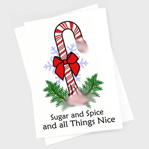Rude Christmas Card, Funny Christmas Card, Offensive Dirty Inappropriate
