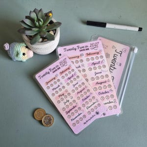 May include: A set of pink and white savings tracker cards with the text "Twenty Five in 2027 SAVE 300" and monthly labels. The image also includes a succulent in a white pot, a crocheted pig, a black marker, and two coins.