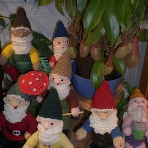 May include: A group of crocheted gnomes with different colored hats and outfits. The gnomes are standing in front of a potted plant with large green leaves.