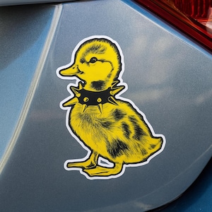 May include: A yellow duckling sticker with a black studded collar. The duckling has black markings and is set against a light blue background. The sticker is a fun, edgy design.