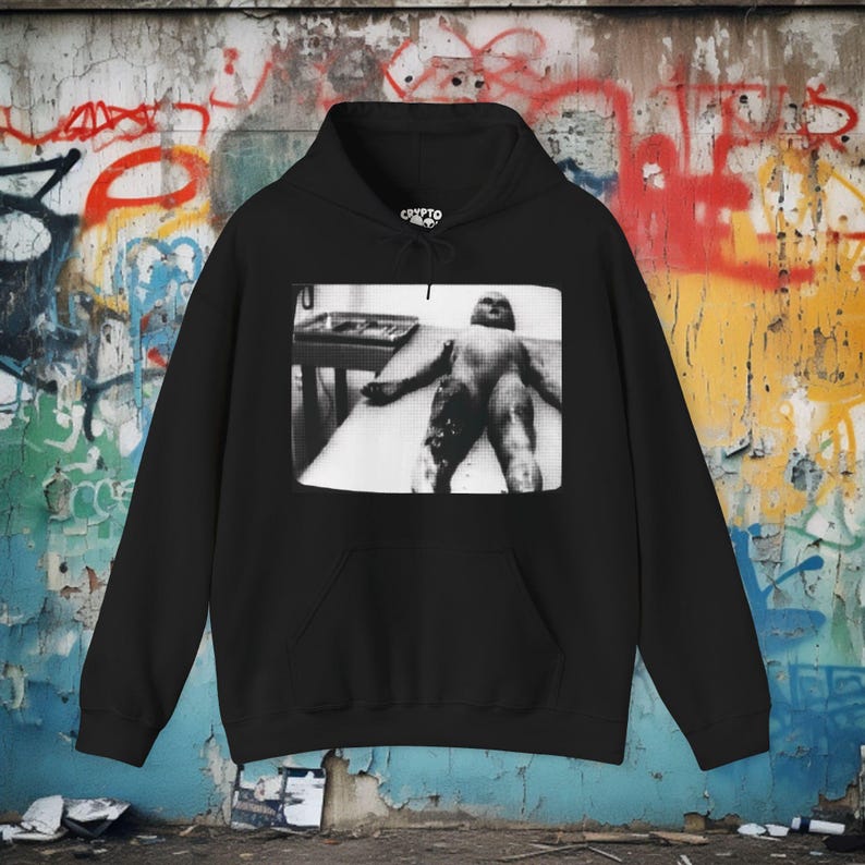 Area 51 Alien Shirt Autopsy UFO T-shirt X Files Roswell Alienation Tee Alien Giftful Gift for Sci-Fi and Paranormal Fans Conspiracy Tee Pullover Hoodie