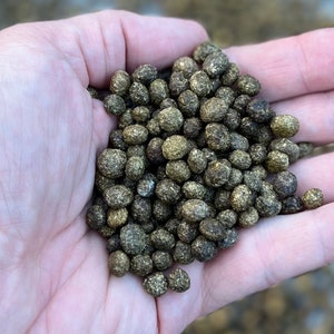 May include: A hand holding a pile of small, round, brown and green pellets. The pellets are uniform in size and shape.