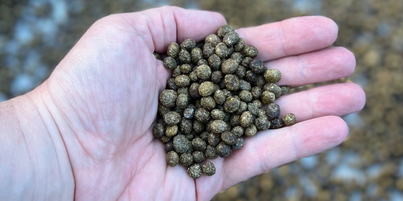 May include: A hand holding a pile of small, round, brown and green pellets. The pellets are uniform in size and shape.