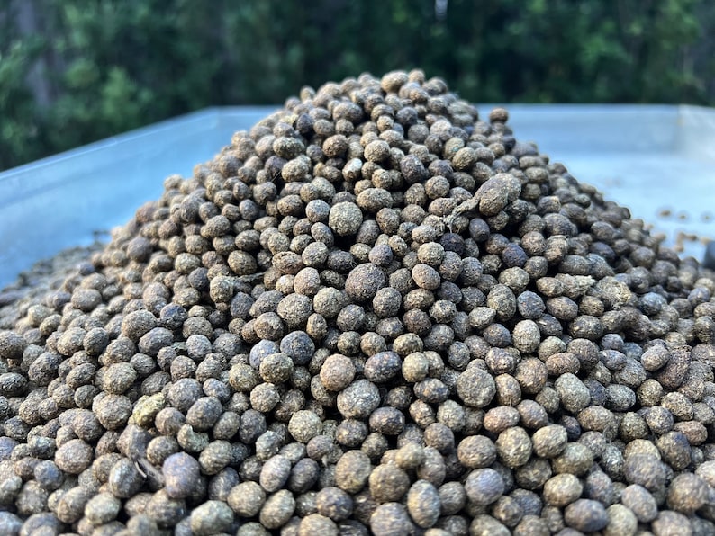 May include: A close-up of a pile of dark brown, round pellets. The pellets are uniform in size and shape, and they are arranged in a mound.