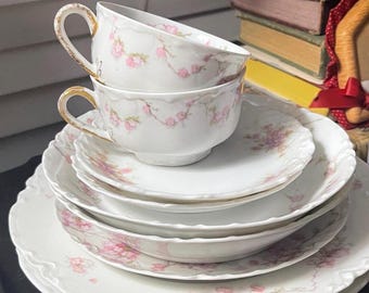 Rare France Dishes, Theodore Haviland Limoges Dinnerware Set